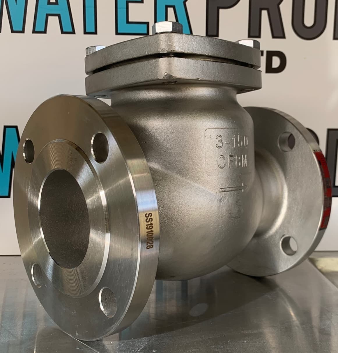 Stainless Steel Swing Check Valve - Flanged ANSI 150LB