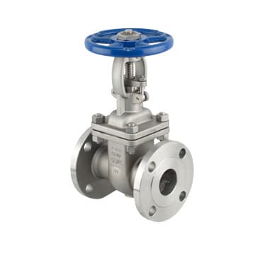 Gate Valve - CF8M 316SS - Table E