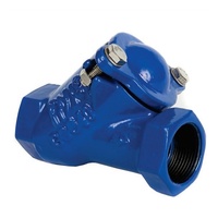 Ball Check Valve - Cast Iron FBE coated - BSP