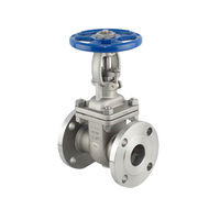 Gate Valve - CF8M 316SS - ANSI 150LB