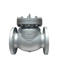 Swing Check Valves