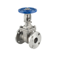Flanged Gate Valve - 316 Stainless Steel